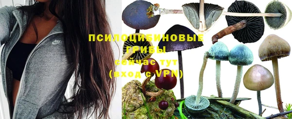 кокс Балахна
