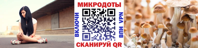 Галлюциногенные грибы Magic Shrooms  купить наркотики цена  Певек 
